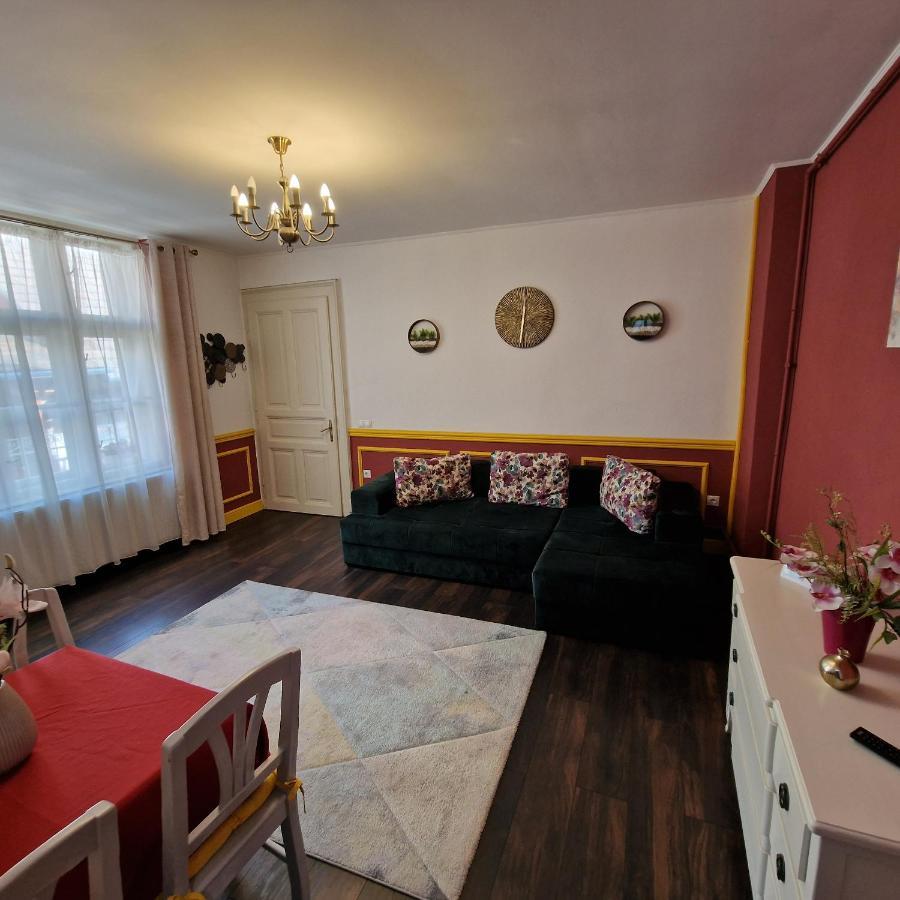 Central Park Apartment Sighişoara Exterior foto
